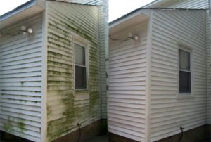 Siding Cleaning in Crest Hill IL